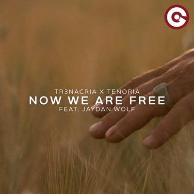 Now We Are Free (feat. Jaydan Wolf) - Single