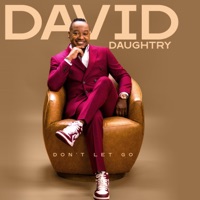 Don't Let Go - David Daughtry