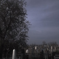 я просто хотел быть счастливым - Single - Карфентанил