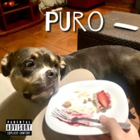 PURO - Single - Young Rein