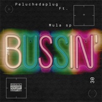 Bussin (feat. Mula Sp) - Single - Peluchedaplug