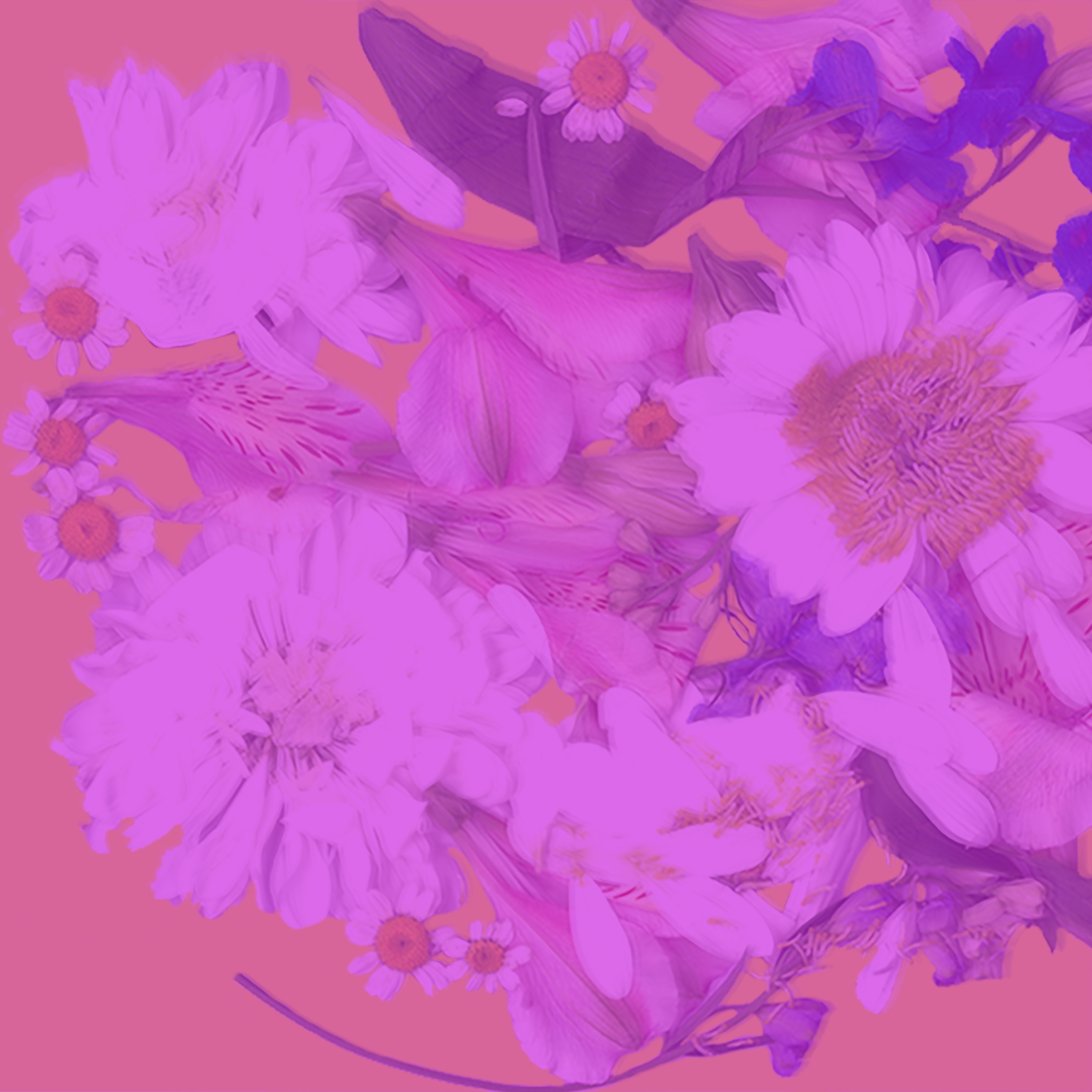 Красивые слова - Single