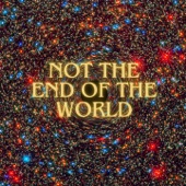 Not The End of The World artwork