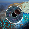 Comfortably Numb (Live) - Pink Floyd