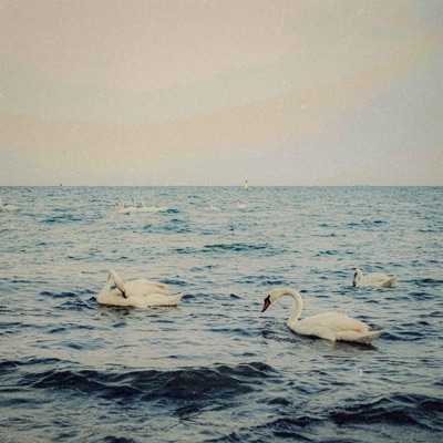 september.breeze