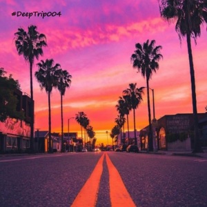 DeepTrip004 (DJ Mix)