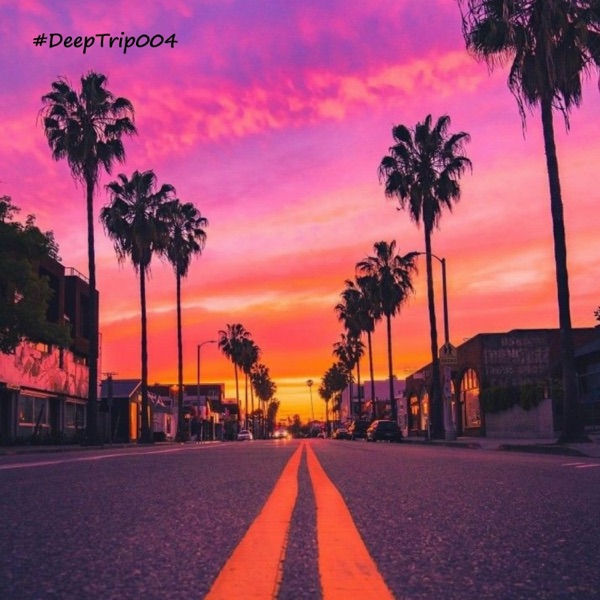 DeepTrip004 (DJ Mix)
