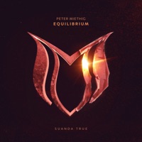 Equilibrium - Single - Peter Miethig