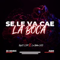 SE LE VA CAE LA BOCA - Single - BIG42 & La Biblia