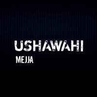 Ushawahi - Single - Mejja