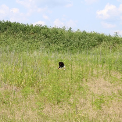 Feeling Easy - Single