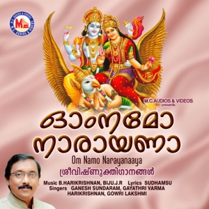 Om Namo Narayanaaya