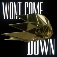 Won't Come Down - Single - ALOTT