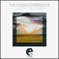 I Like You - Single - The Human Experience & Saint Sinner