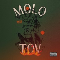 Molotov - Single - Nate Hollow