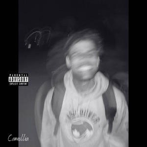 Camellia!