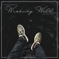 Wishing Well (feat. Stephanie Gayle) - Single - Substantial & T.Lucas