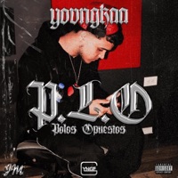 P.L.O - Single - Yovngkaa