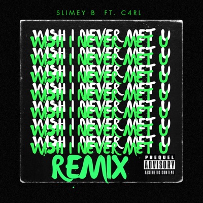 Wish I Never Met U (feat. C4RL) [Remix] - Single