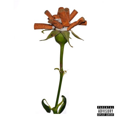Plott - Single