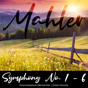 Symphony No. 2, 'Resurrection': I. Allegro maestoso