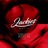 Searching For Love (IMS Sampler 2026, Radio Edit)