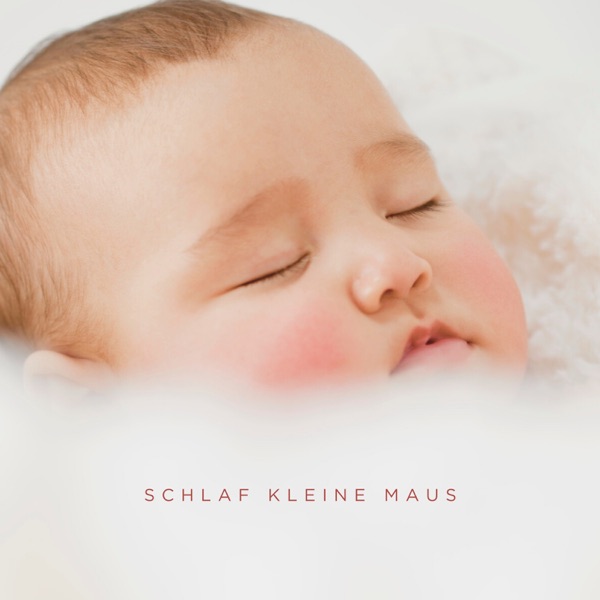 Schlaf Kleine Maus