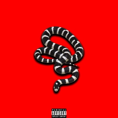 Plan of Attack (feat. Young Philly K) - Single