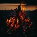 Burn