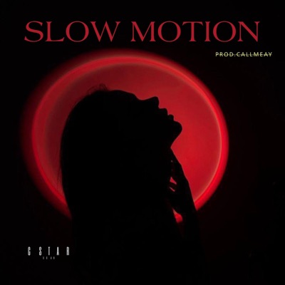 Slow Motion (Special Version) (feat. B N D L O) - Single