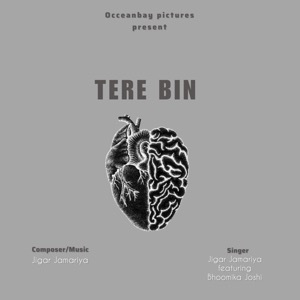 Tere Bin (feat. Bhoomika joshi)