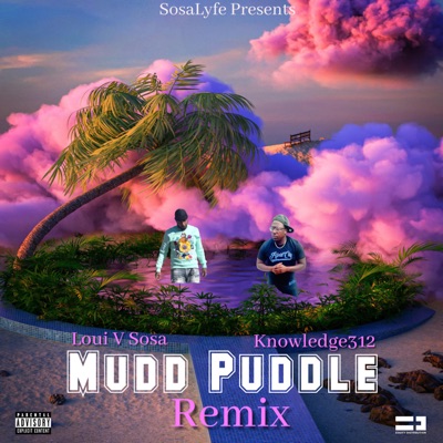 Mudd Puddle (feat. Knowledge312) [Remix] - Single