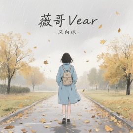 风向球 薇哥Vear