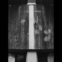 Schwarzer Schimmel - Single - Kizuki