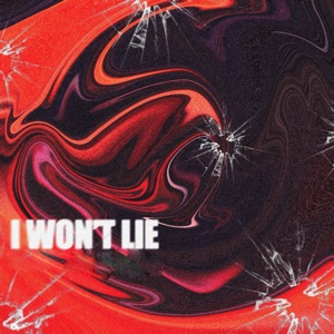 I WON'T LIE (feat. Nessa) - Single