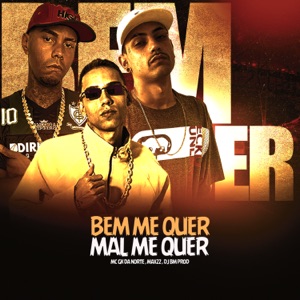 Bem Me Quer, Mal Me Quer
