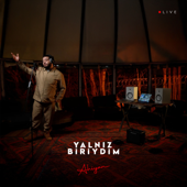 Yalnız Biriydim (Live) song art