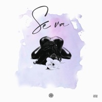 Se va - Single - El Inva