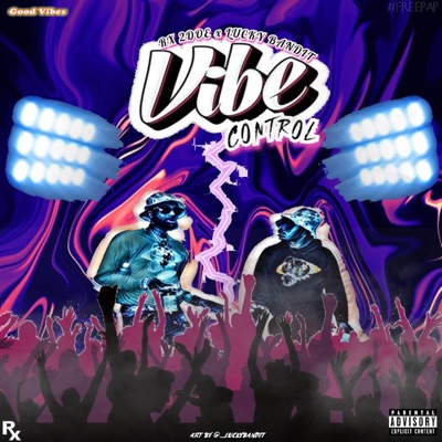 VIBE CONTROL (feat. Rx 2doe)