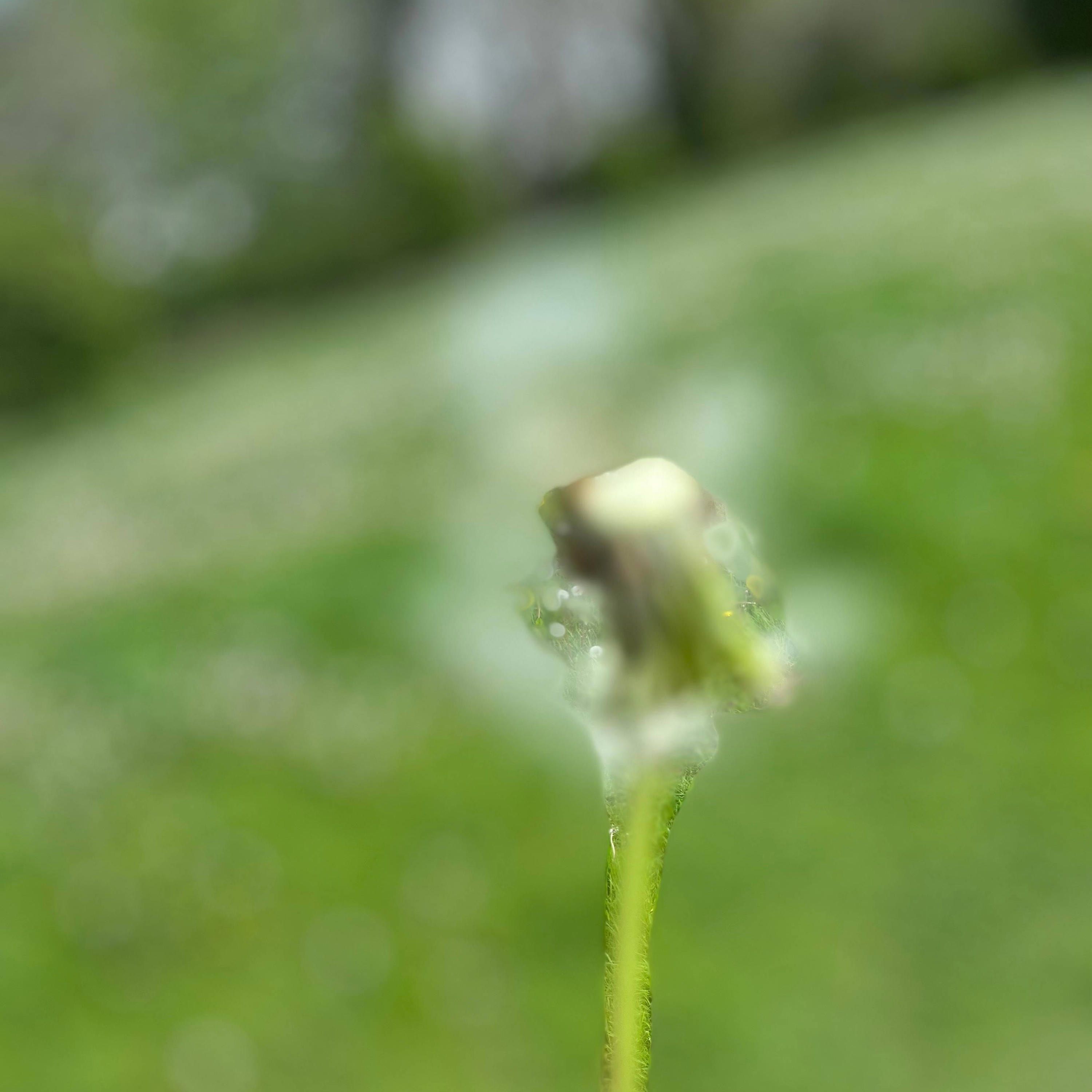 Lose Your Mind - Single