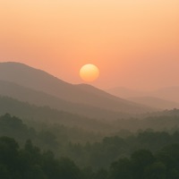 Life In The Future - Single - YYYZZZYYY