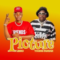 Picture (feat. Libho) - Single - Young fantan