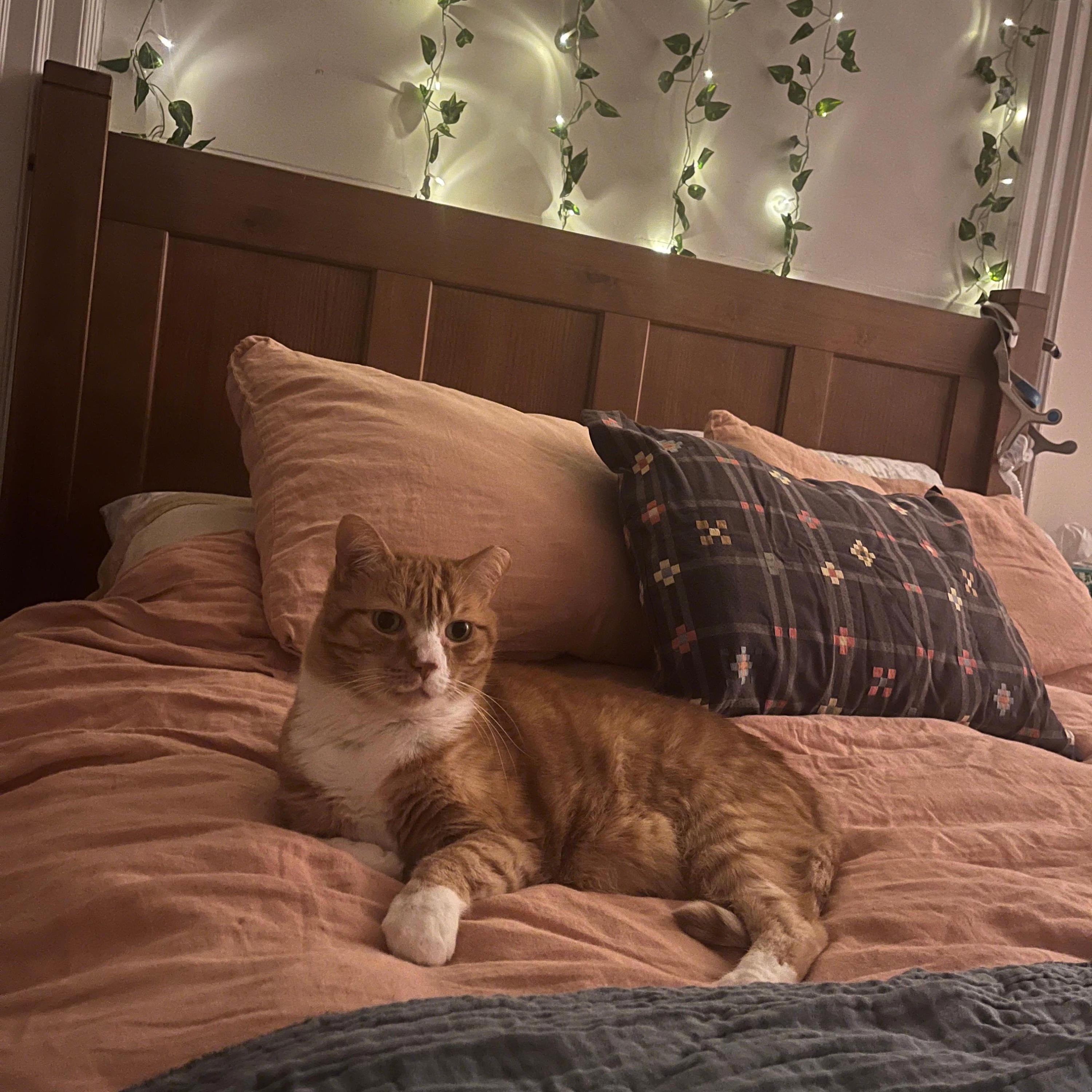 My Own Bedroom - Single