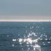 大头针 - 泪海
