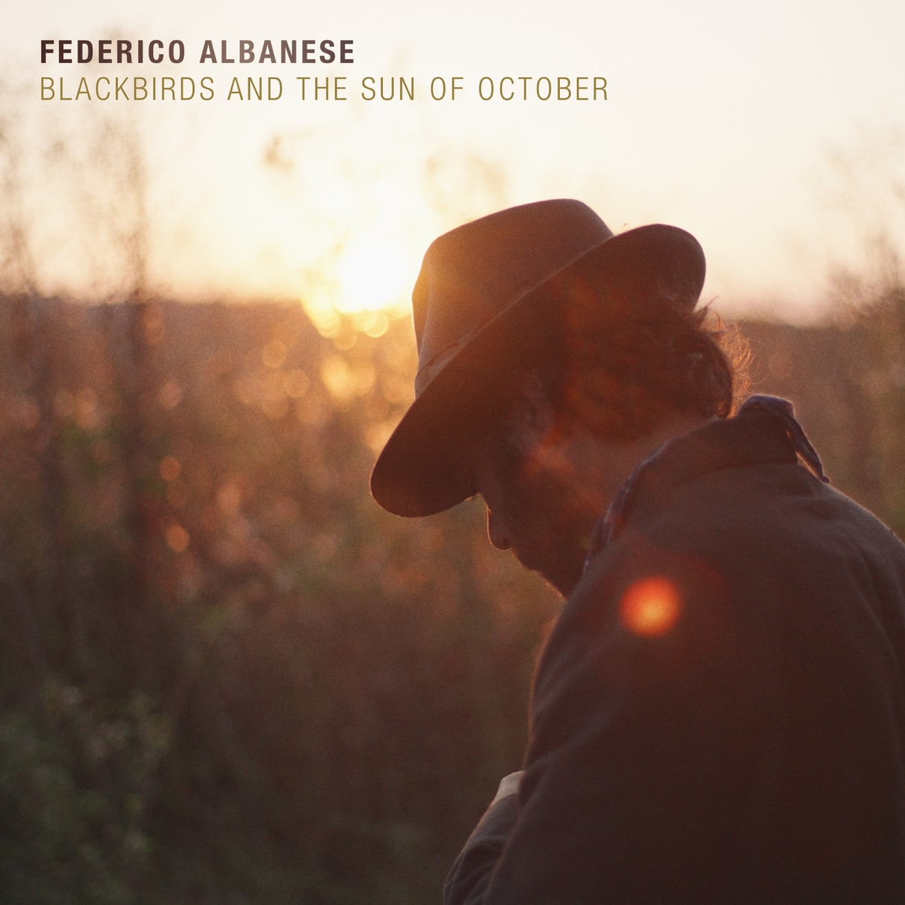 Federico Albanese – Blackbirds and the Sun of October (2025) [iTunes Match M4A]