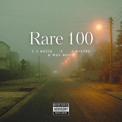 Rare 100 (feat. Wav MusiQ) - Single