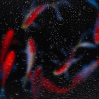 Water and Heat (feat. DuckTape Orchestra) - Single