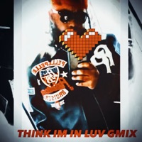 THINK IM IN LUV GMIX - Single - Ty-Shawn
