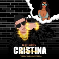 Cristina (feat. TOLO DESAPARECELO) - Single - bluemoney