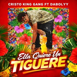 Ella Quiere Un Tiguere (feat. DaBolyy) Cristo King Gang